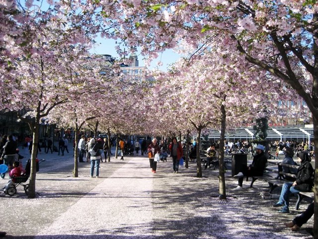 Gỗ và sản phẩm gỗ dẫn đầu về kim ngạch xuất khẩu hàng hoá của Việt Nam sang Thuỵ Điển quý I/2010